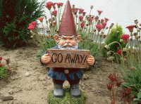 Angry Gnome