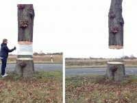 curiosità