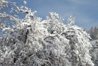 snowfall 3