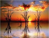 sunset-36