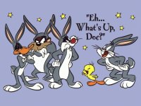 looney toons 16