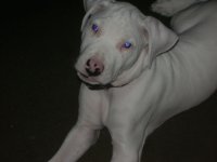 chango