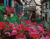 Street in Eguisheim Alsace France