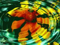 Yellow reflection