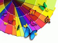 Muli Coloured Butterflies