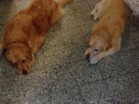 JACK Y ATHENA
