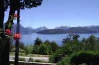 Flores patagónicas y cordobesas