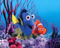 nemo2