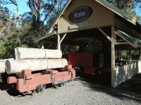 WA logging equipment margaret river