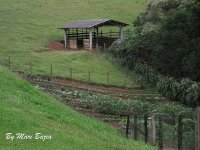 HORTA