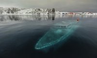 Yate hundido en la Antártida