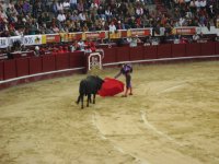 P. TOROS BOGOTA COL.