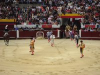 P.TOROS BOGOTA COL.