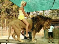 zoo