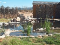 sothemba lodge