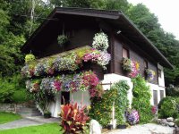 Austrian House