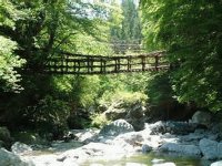 橋