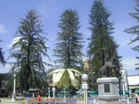 STA ROSA RISARALDA COL.