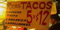 tacooos joveeen