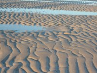 Ripples