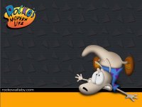rat
