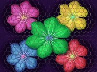 flores