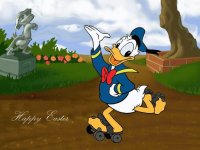 donald