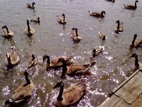 on the river