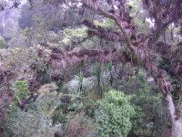 JARDÍN QUINTA BOLÍVAR