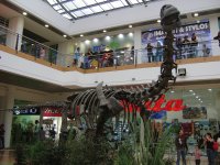 DINOSAURIOS-2-EXHIBICIÓN COL.