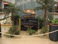 DINOSAURIOS-5-EXHIBICIÓN COL.
