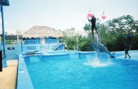 ACUARIO REP DOMINICANA