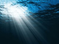 ocean
