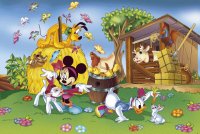 cartoons