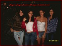 minhas gatas