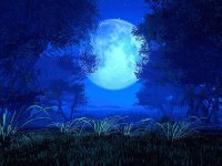 NOCHE DE LUNA