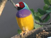 s2