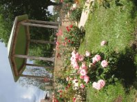 View Album