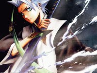 Hitsugaya