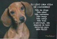 EDIE