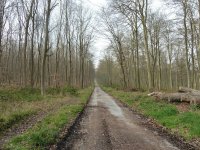 Sur la Piste du Loup