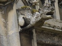 Gargoyle St Valery sur Somme
