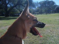 lola