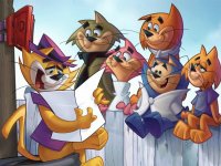 don gato
