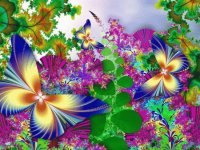 Butterfly fractal