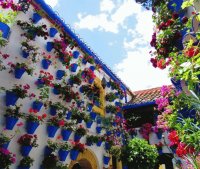 Patio Cordoba Spain