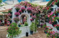 Flowerful Patio Cordoba Spain
