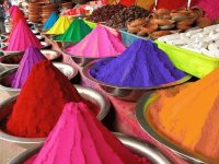Part of the Color Festival India