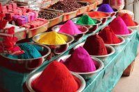 Color Festival India