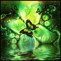 green butterfly